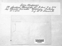 Image Associated With the Occurence